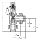 Shipboard air compressor pressure relief valve Danco D49-30UU diagram