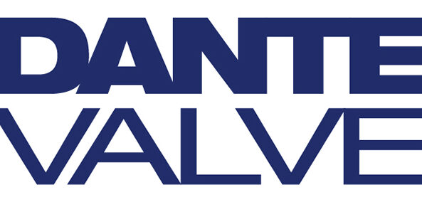 Dante Valve Logo for Blog Posts